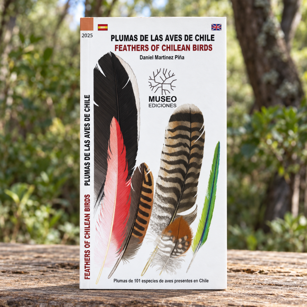 GUIA DE BOLSILLO - PLUMAS DE LAS AVES DE CHILE