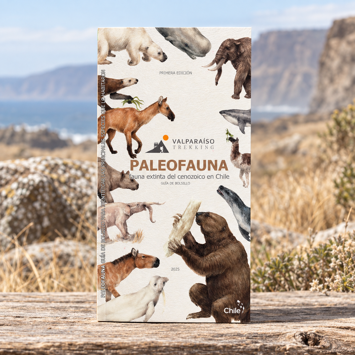 GUIA DE BOLSILLO - PALEOFAUNA