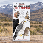GUÍA DE BOLSILLO - Aves rapaces de chile