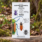 GUIA DE BOLSILLO - COLEOPTEROS DE CHILE