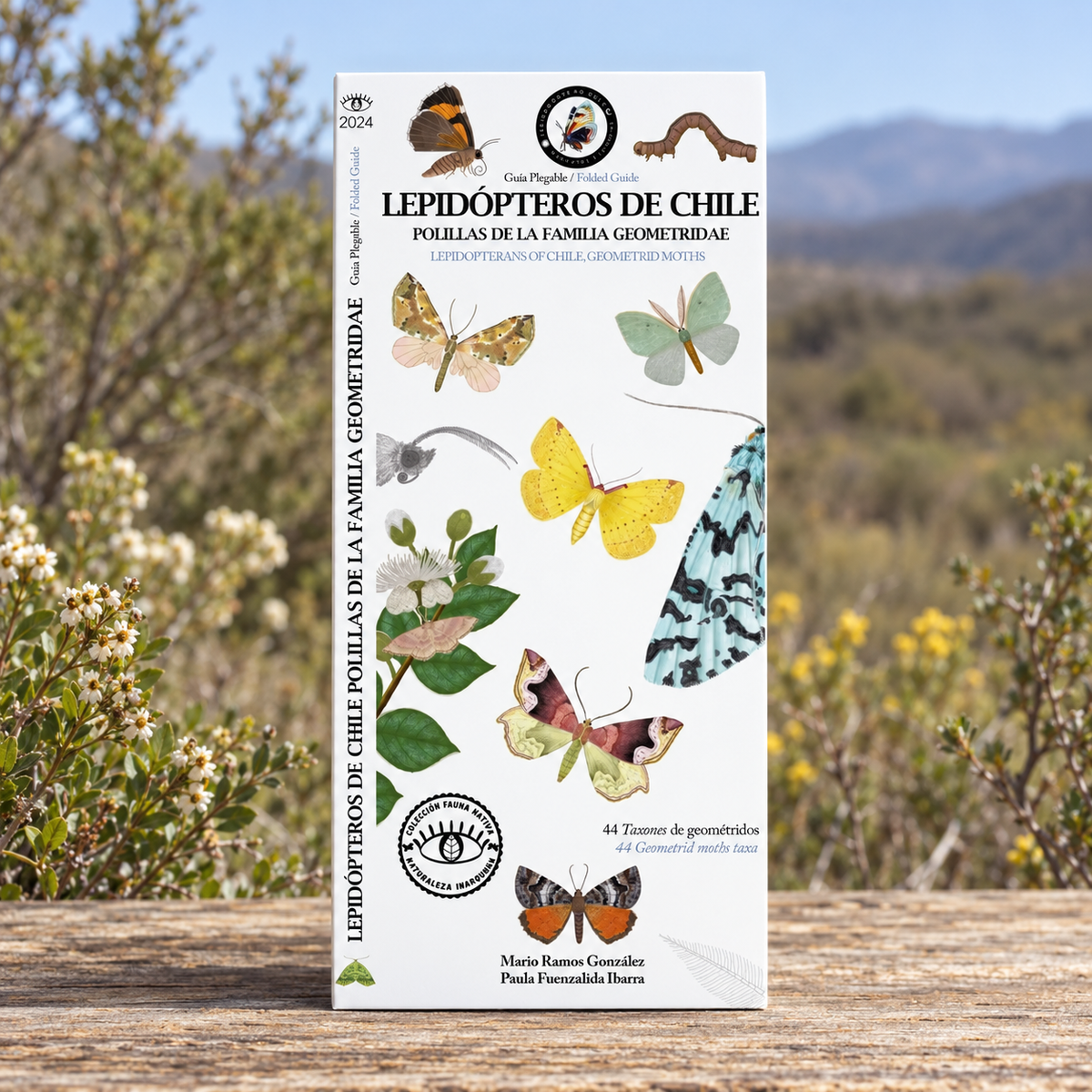 GUIA DE BOLSILLO - LEPIDÓPTEROS - FAMILIA GEOMETRIDAE