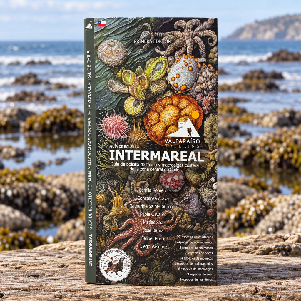 GUIA DE BOLSILLO - Intermareal