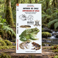 GUÍA DE BOLSILLO - Anfibios de chile