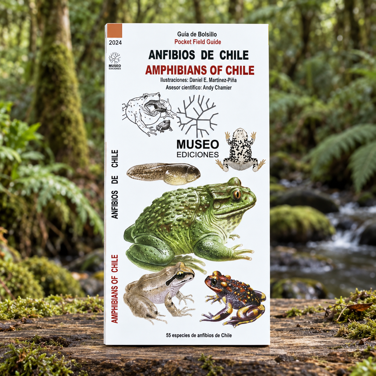 GUÍA DE BOLSILLO - Anfibios de chile