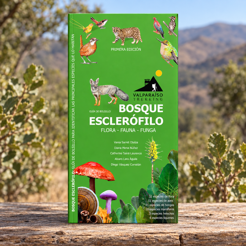 GUÍA DE BOLSILLO - Bosque esclerófilo