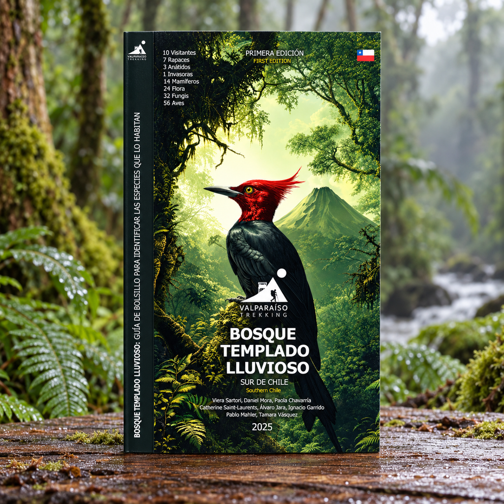 GUÍA DE BOLSILLO - Bosque templado lluvioso