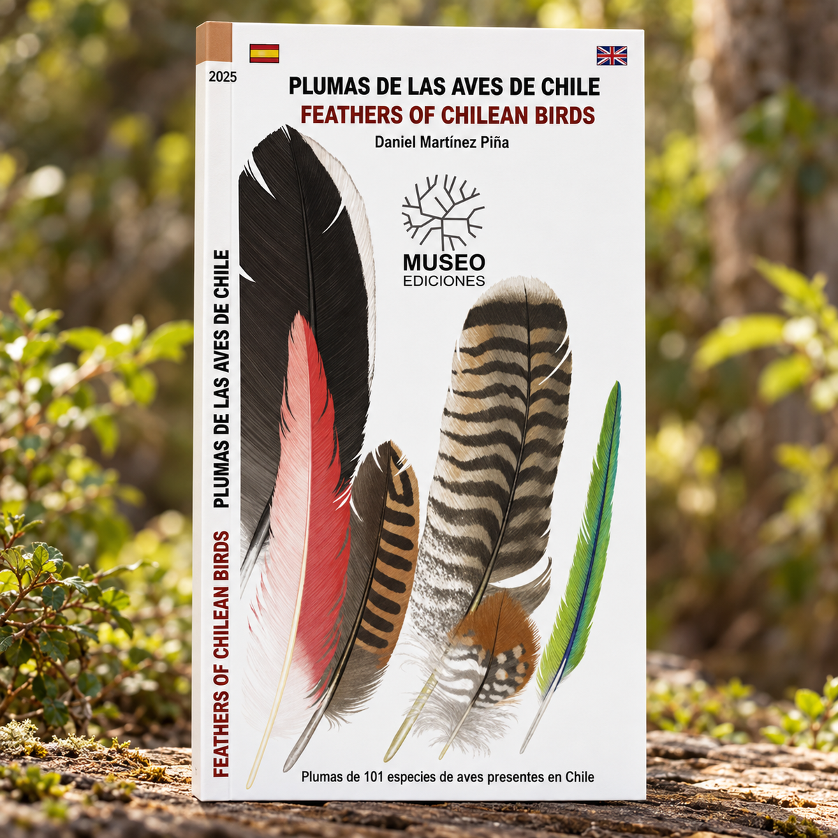 GUIA DE BOLSILLO - PLUMAS DE LAS AVES DE CHILE