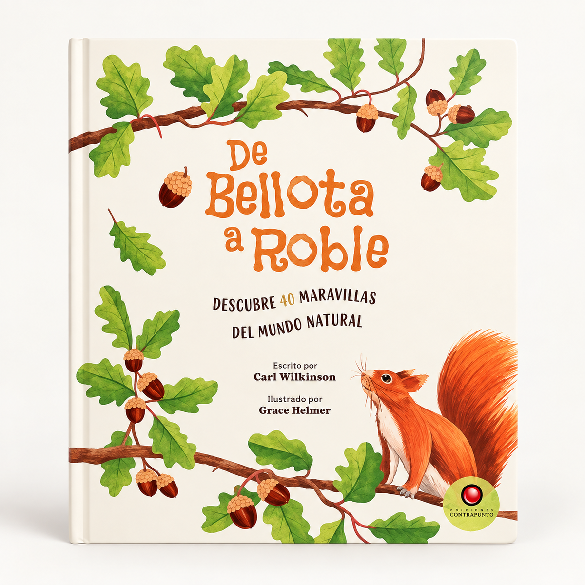 DE BELLOTA A ROBLE
