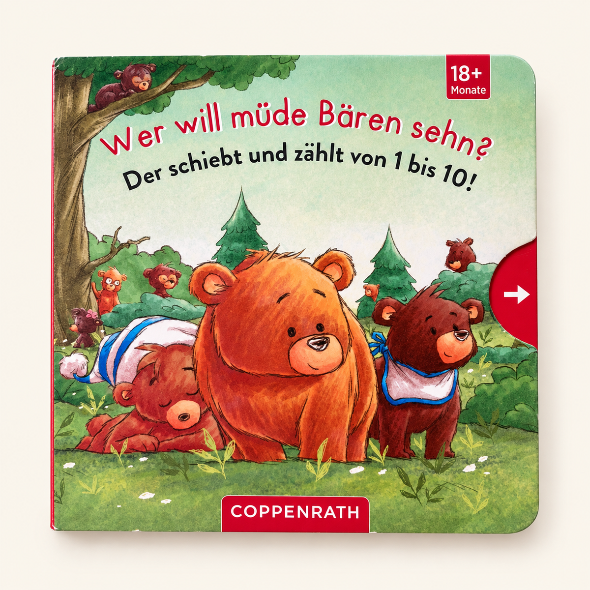 WER WILL MUDE BAREN SEHN - DER SCHIEBT UND ZAHLT VON 1 BIS 10!