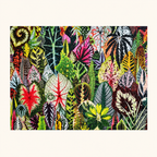 HOUSEPLANT JUNGLE - 1000 PIEZAS