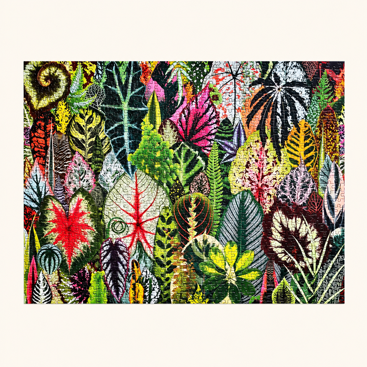 HOUSEPLANT JUNGLE - 1000 PIEZAS