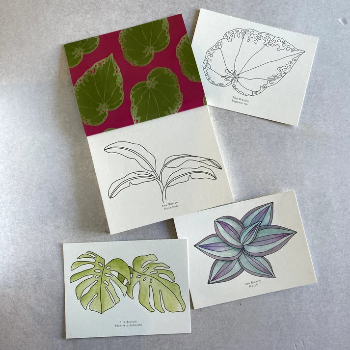 SELVA - LIBRO PARA PINTAR DE BOLSILLO