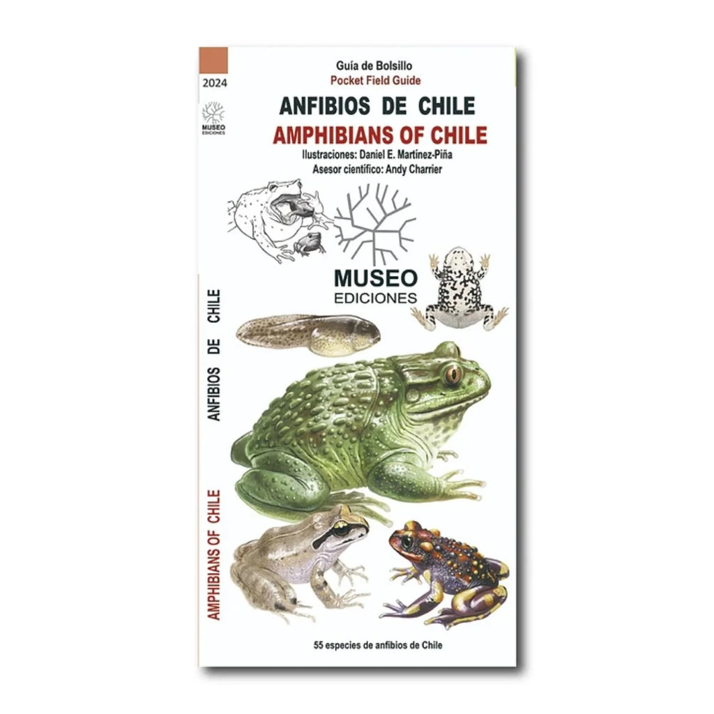 GUÍA DE BOLSILLO - Anfibios de chile