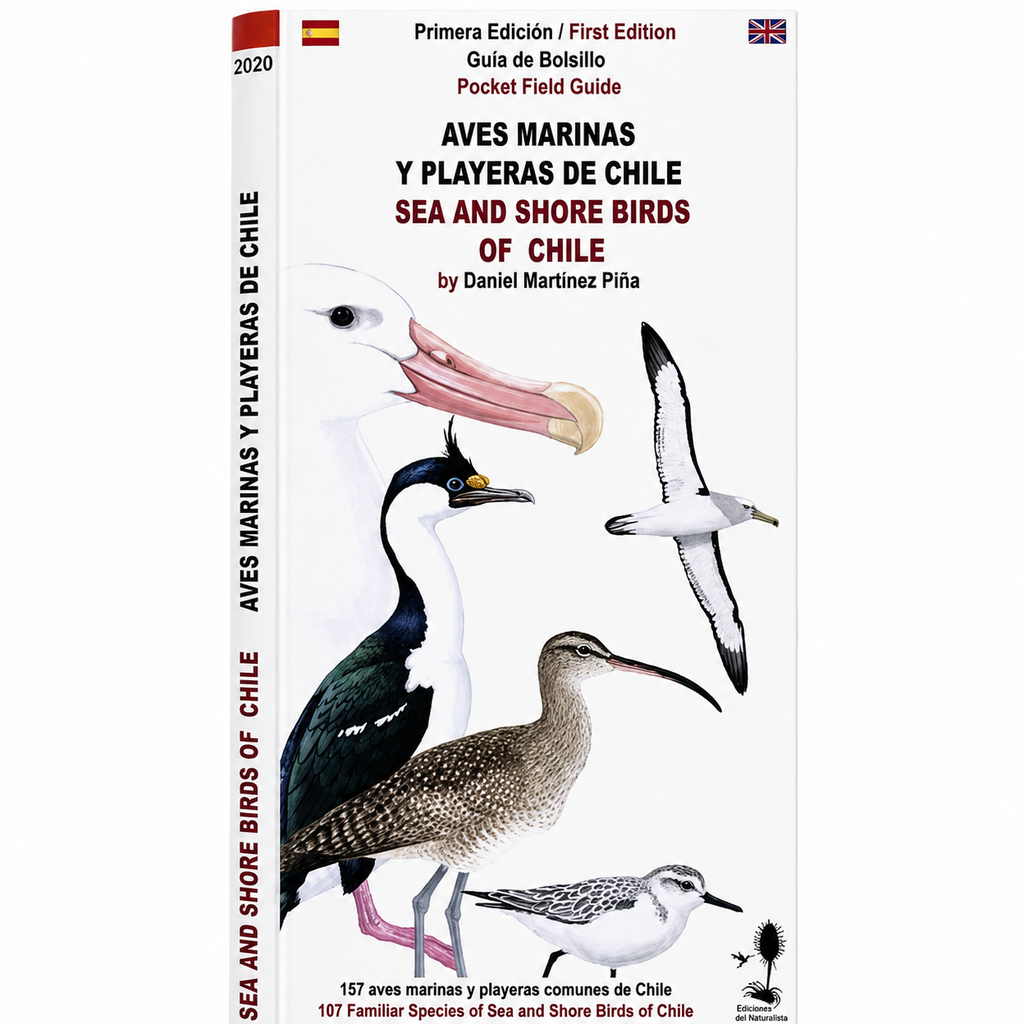 GUÍA DE BOLSILLO - Aves marinas y playeras de chile