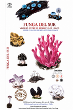 GUÍA DE BOLSILLO - Funga del sur
