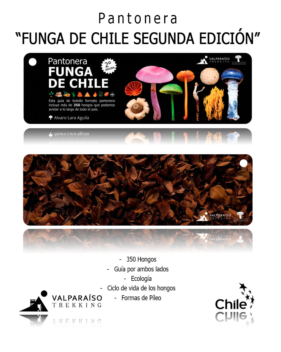 PANTONERA - FUNGA DE CHILE - 2DA EDICIÓN