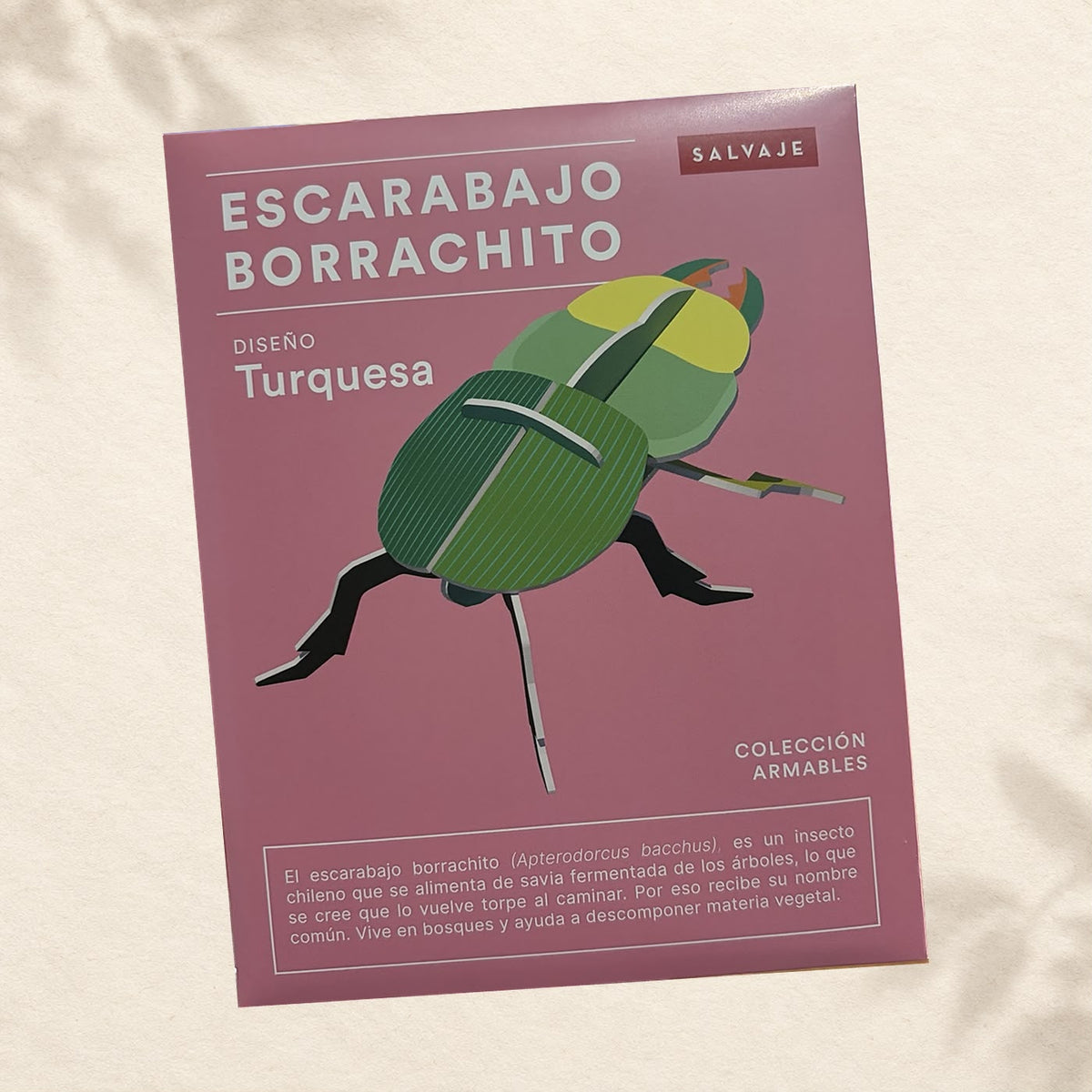 INSECTOS ARMABLES - ESCARABAJO BORRACHITO MORADO Y TURQUESA