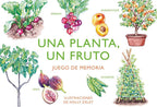 MEMORICE UNA PLANTA UN FRUTO