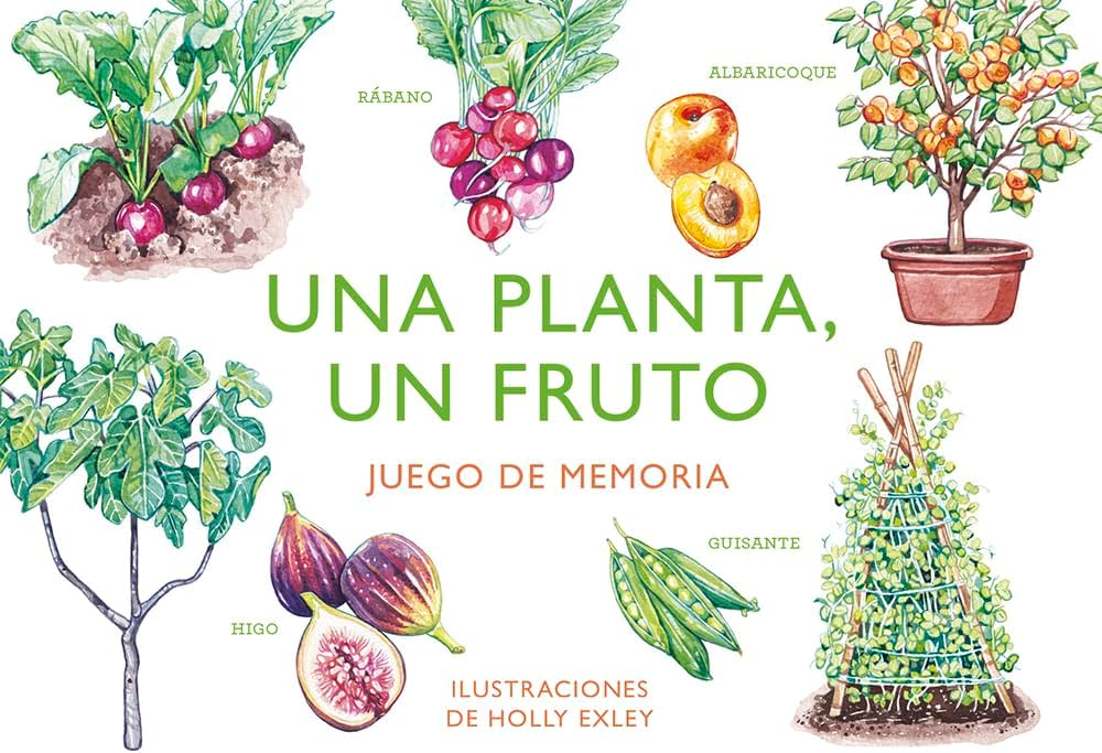 MEMORICE UNA PLANTA UN FRUTO