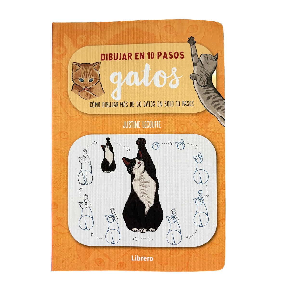 DIBUJAR EN 10 PASOS - Gatos