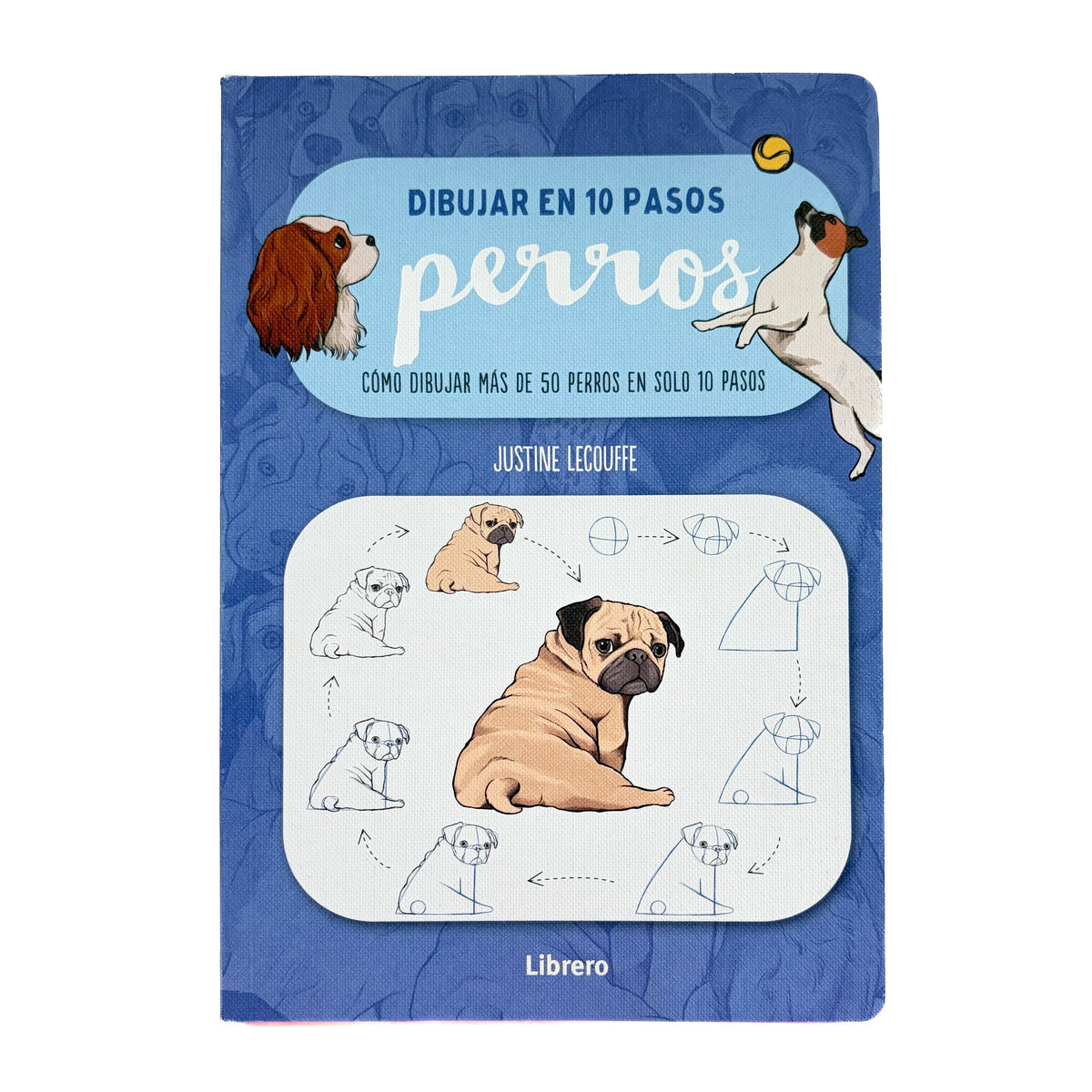 DIBUJAR EN 10 PASOS - Perros