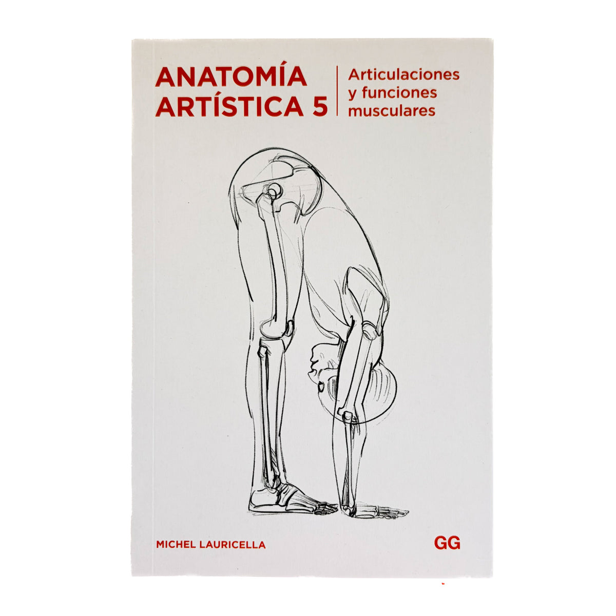 ANATOMIA ARTISTICA 5 - Articulaciones y funciones musculares