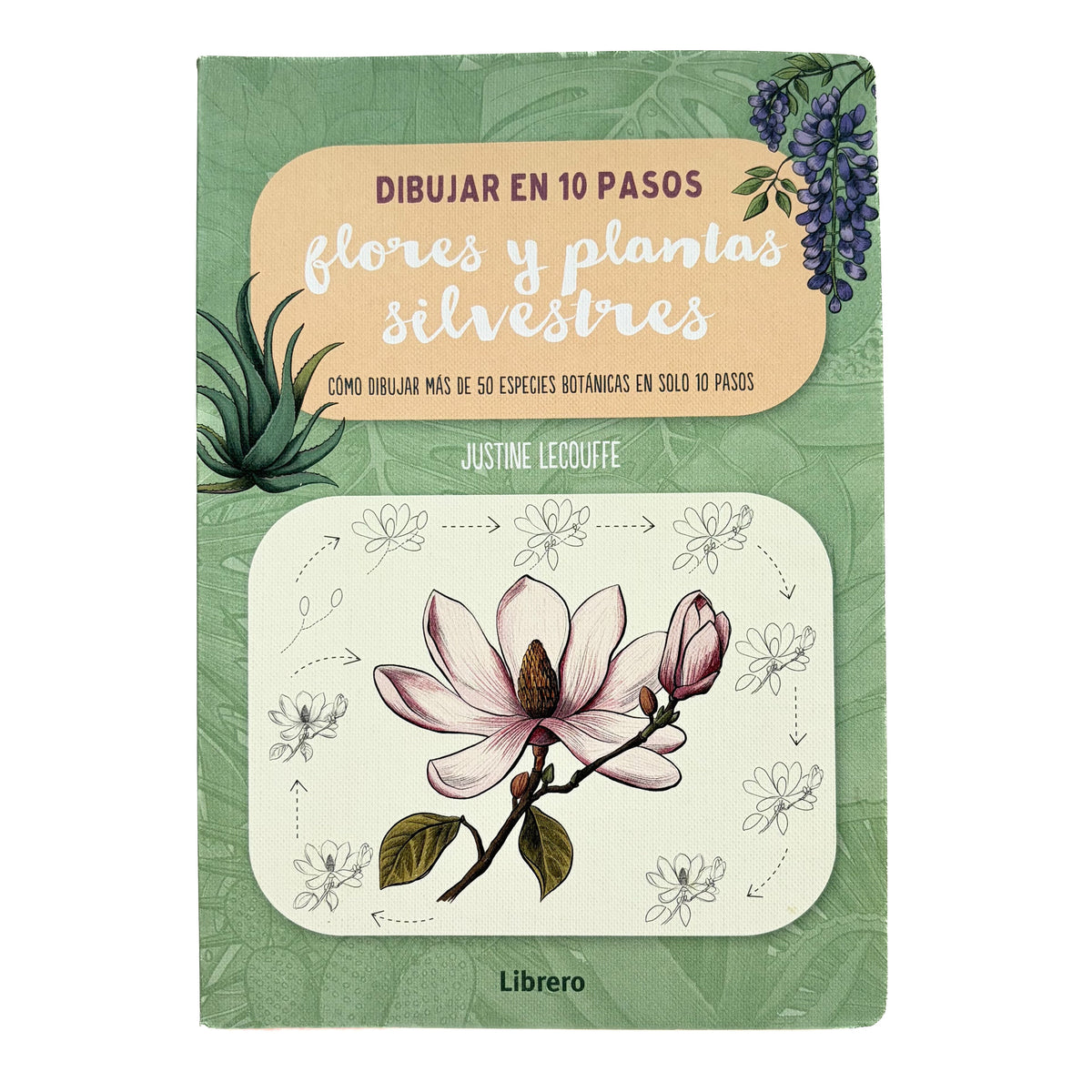 DIBUJAR EN 10 PASOS - Flores y plantas silvestres