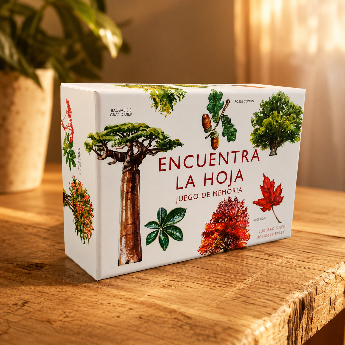 MEMORICE ENCUENTRA LA HOJA