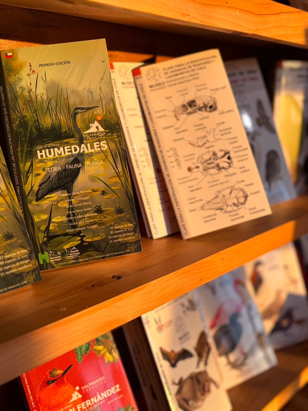 Libros, cuadernos y materiales creativos seleccionados por la librería